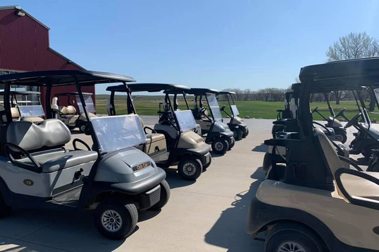 view of golf carts